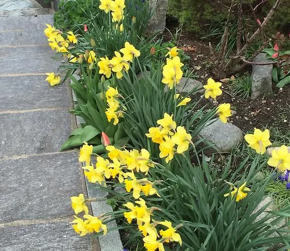 Fravgia Veglia Casa de Férias Andeer