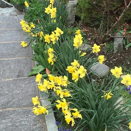 Fravgia Veglia Дом отдыха Андер